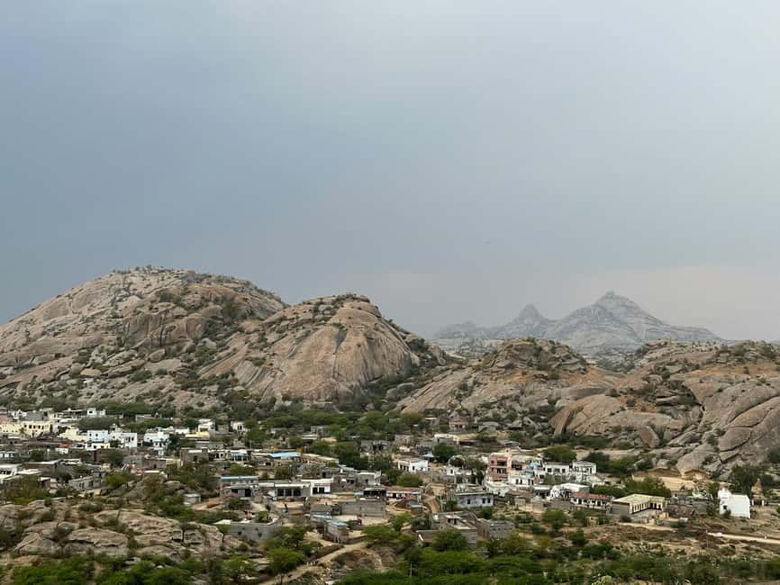 Jodhpur: Day Trip to Jawai Leopard Safari and Ranakpur - The Sum Up: Why Choose This Day Trip?