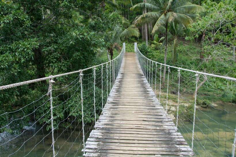 Bohol: Private Countryside Tour with Buffet Lunch - Discover Bohol’s Charm with a Private Countryside Tour