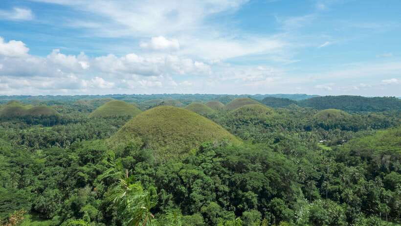 Bohol: Private Countryside Tour with Buffet Lunch - The Overall Experience: What Makes It Special