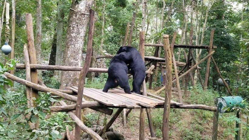 LUANG PRABANG WILDLIFE SANCTUARY - HMONG TRIBE VILLAGE - An In-Depth Look at the Tour