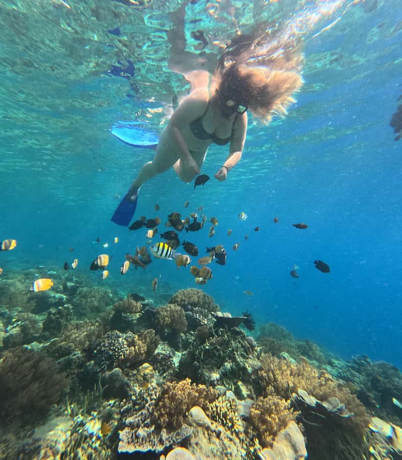 Lombok: Gili Nanggu Sudak and Kedis Snorkeling Tour - What Makes This Tour Special