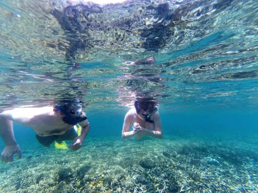 Lombok: Gili Nanggu Sudak and Kedis Snorkeling Tour - Final Thoughts: Is This Tour Worth It?