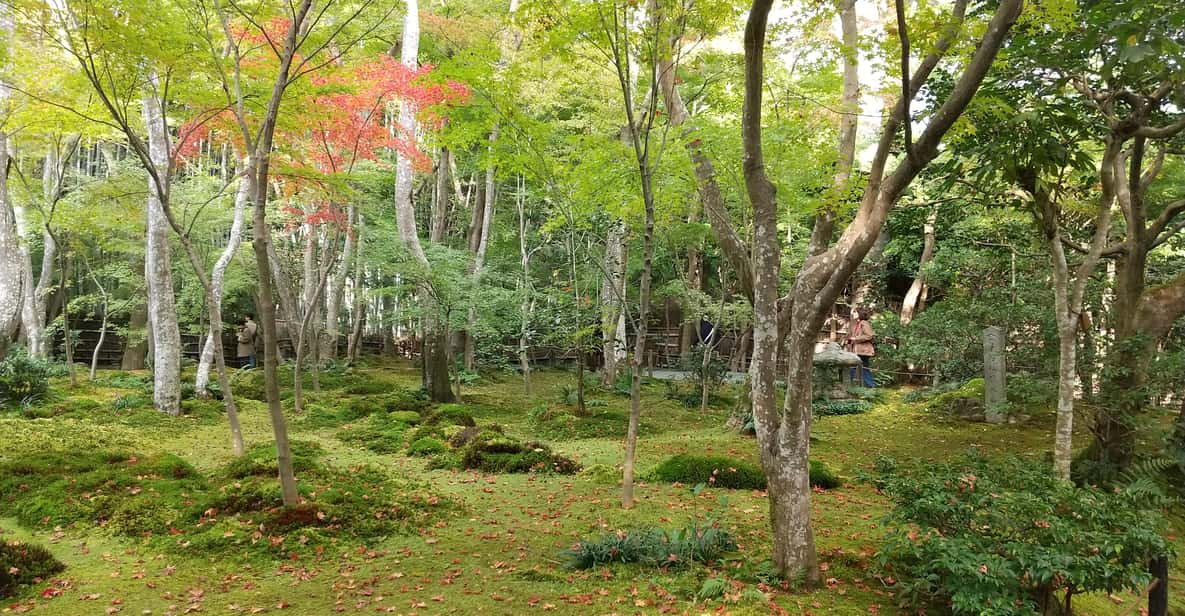 Kyoto: Quiet Arashiyama and Sagano Temples Guided Tour - Exploring Kyoto’s Hidden Spiritual Corners