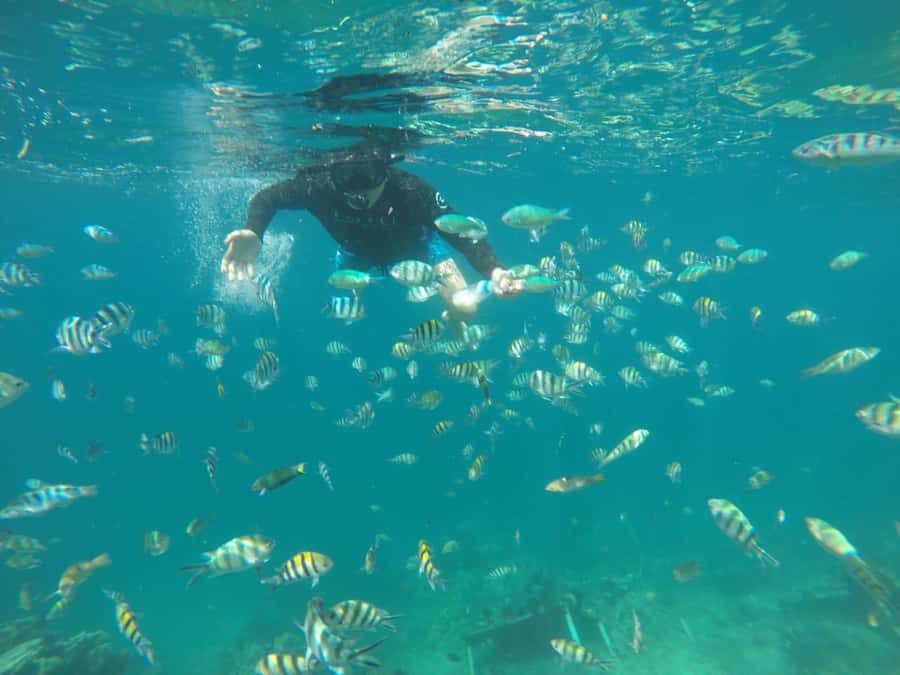 Lombok: Gili Nanggu, Kedis, and Sudak Islands Boat Tour - The Sum Up: Is This Tour Worth It?