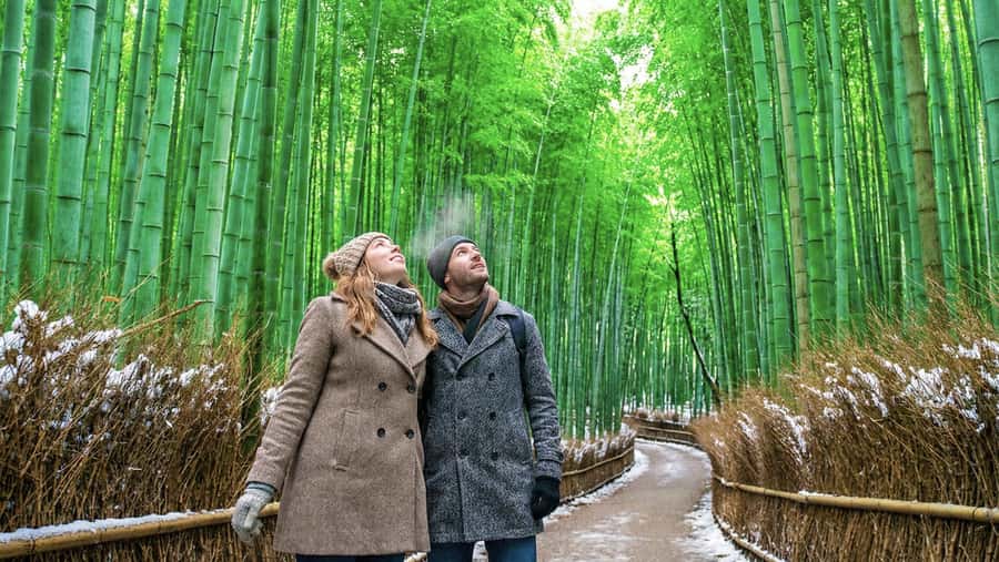 Kyoto: Arashiyama Unveiled Bamboo, Temple, Matcha, & Monkeys - What to Expect from the Arashiyama Tour