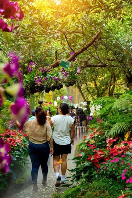 Chiang Rai: Excursion White, Blue,Red Temples & Lalitta Café - Practical Details and Tips