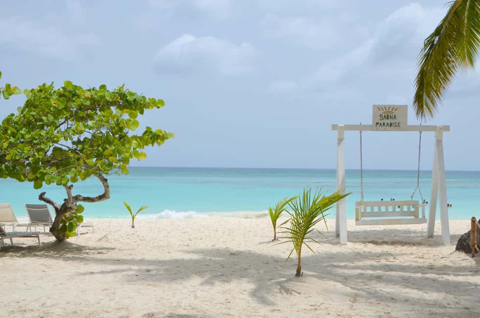 Saona Special Tour: 4 Beaches with Canto from Punta Cana - The Practicalities of the Tour