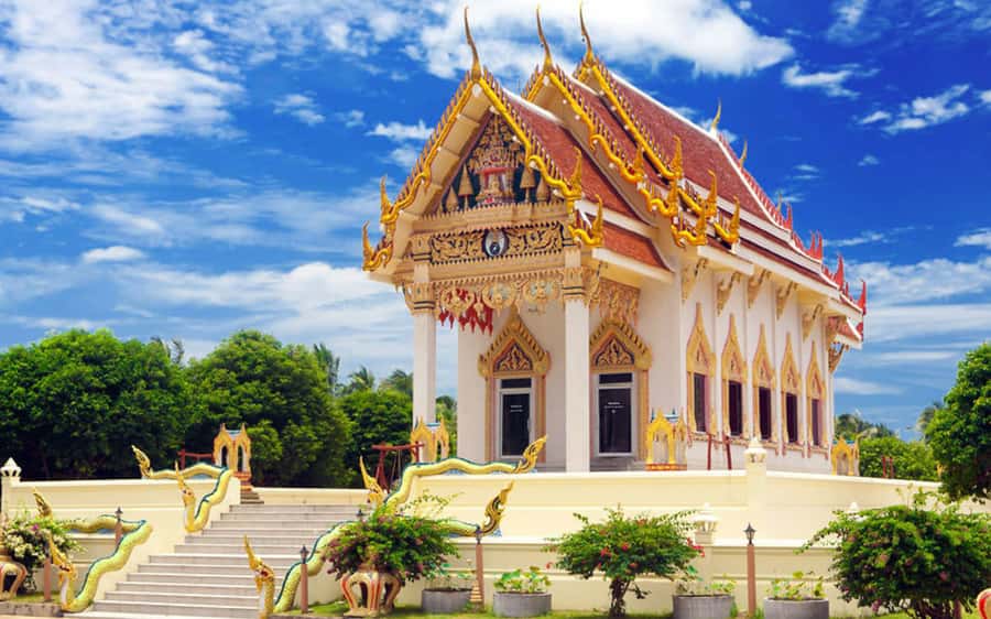 Koh Samui: Travstore Original Koh Samui Discovery Tour - Final Words