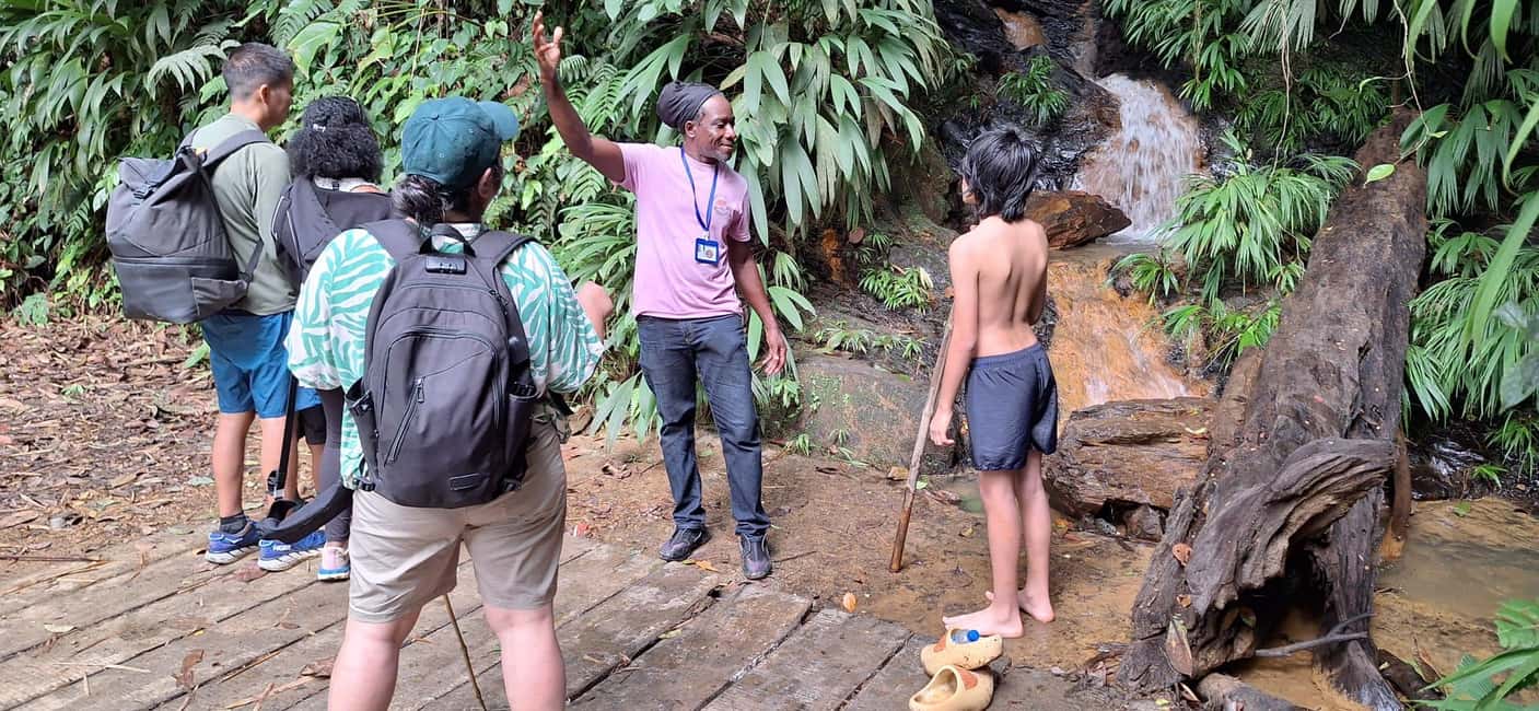 The Tobago Rainforest Tour - Who Should Consider This Tour?