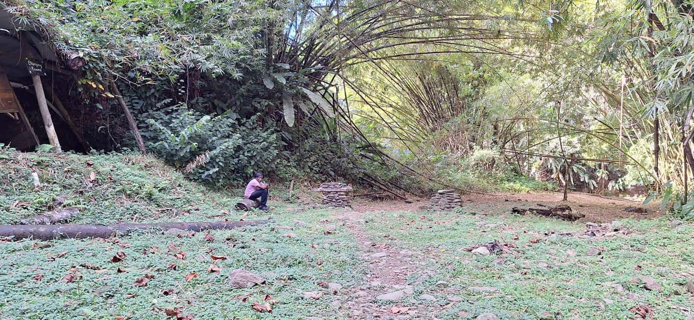 The Tobago Rainforest Tour - The Value of the Tobago Rainforest Tour