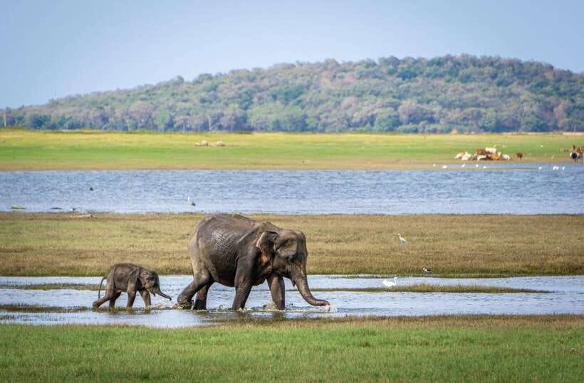 Sri Lanka 3-Day Top Temple Tour To The Cultural Triangle - Final Thoughts: Who Will Benefit Most?
