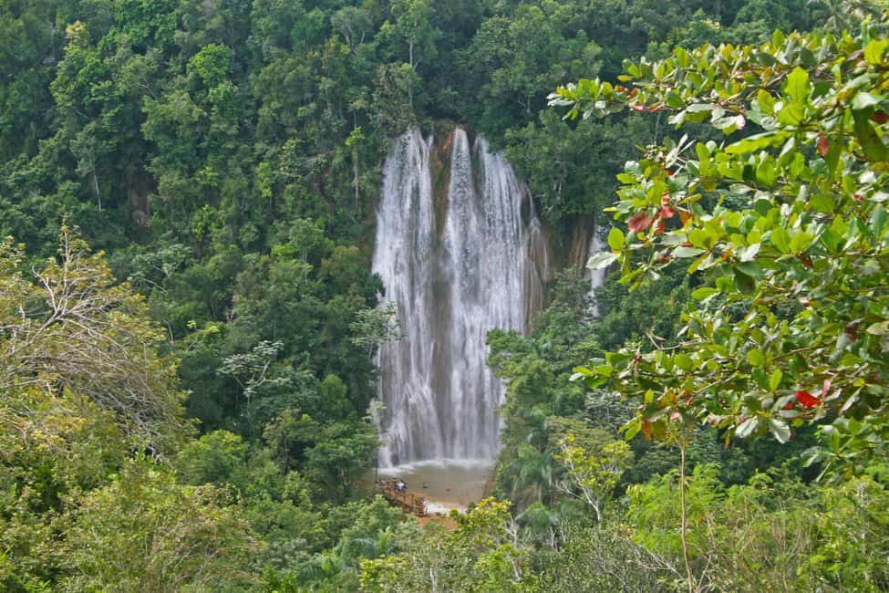 Samaná: El Limón Waterfall Horseback Riding Tour - Authenticity and Real-World Feedback