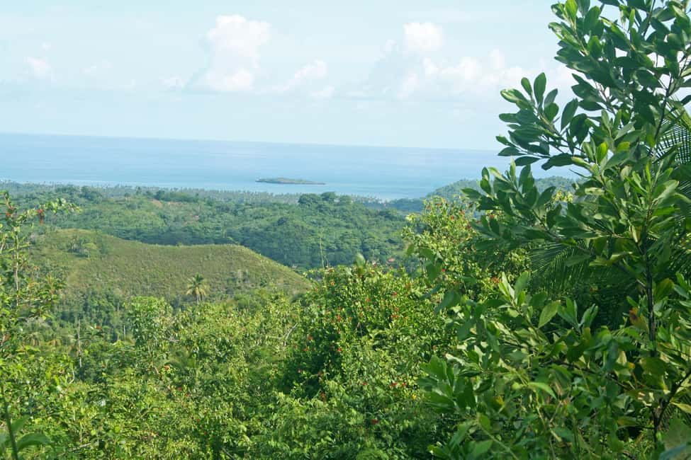 Samaná: El Limón Waterfall Horseback Riding Tour - Key Points