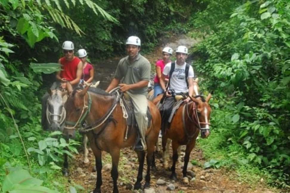 Waterfall El Limón and Cayo Levantado Island from Bayahibe - Practical Tips for Making the Most of This Tour