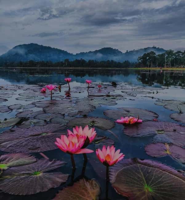 Chandubi Full-Day Tour from Guwahati with Traditional Lunch - Introduction: A Taste of Assam’s Natural and Cultural Riches