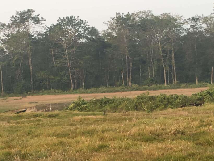 From Kathmandu or Pokhara 3 day Chitwan Tour with Rafting - Good To Know