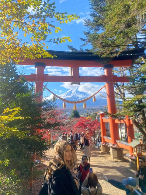 From Tokyo: Mount Fuji Private Day Trip with Pickup - What Makes This Tour Stand Out