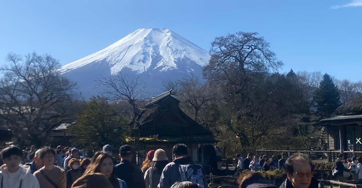 From Tokyo: Mount Fuji Private Day Trip with Pickup - Final Thoughts