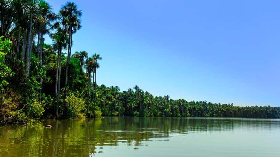 Tambopata Tour 3 Days - Who Should Consider This Tour?