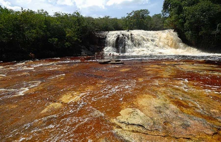 Manaus: Amazon Waterfalls Day Trip with Lunch - Value Aspect and Pricing