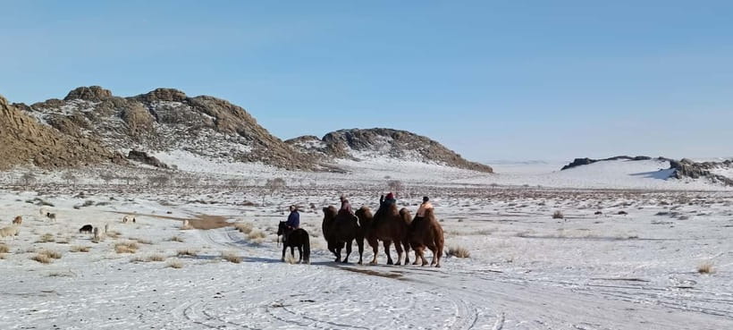Mongolia: Winter Adventure Tour/Central Mongolia - Pricing and Value
