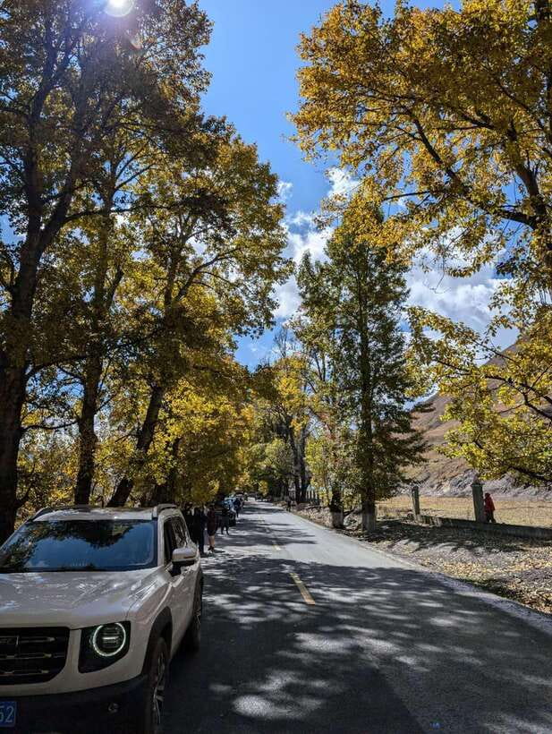 Experience Authentic Chengdu with a Personalized Local Guide - Exploring Chengdu with a Personal Touch