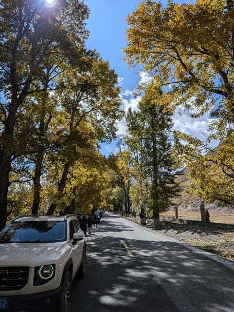 Experience Authentic Chengdu with a Personalized Local Guide - The Sum Up: Is This the Right Choice for You?