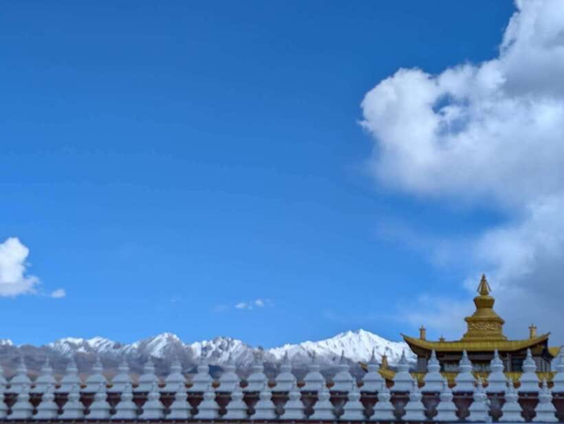 Experience Authentic Chengdu with a Personalized Local Guide - Flexibility and Customization