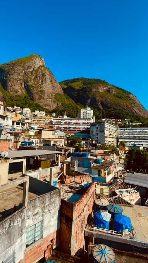 Hike Dois Irmãos + Vidigal Favela Experience - Who Is This Tour Best Suited For?