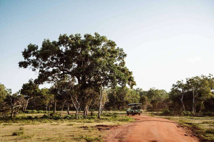 Udawalawe National Park: Private Safari From Colombo - Why Choose This Tour?