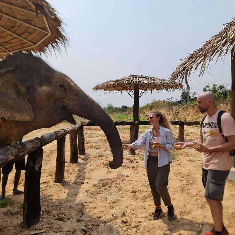 Siem Reap: Elephant Sanctuary Included Hotel Pickup Drop-off - An Honest Look at the Siem Reap Elephant Sanctuary Tour