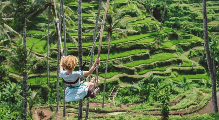 Ubud: Customized Ubud Tour With Private Car - Who Will Love This Tour?