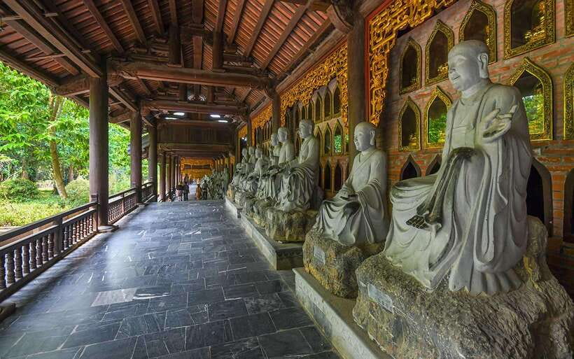 HOA LU - BAI DINH  TRANG AN  MUA CAVE FROM NINH BINH - Exploring Ninh Binh: A Close-Up of Vietnam’s Hidden Gem