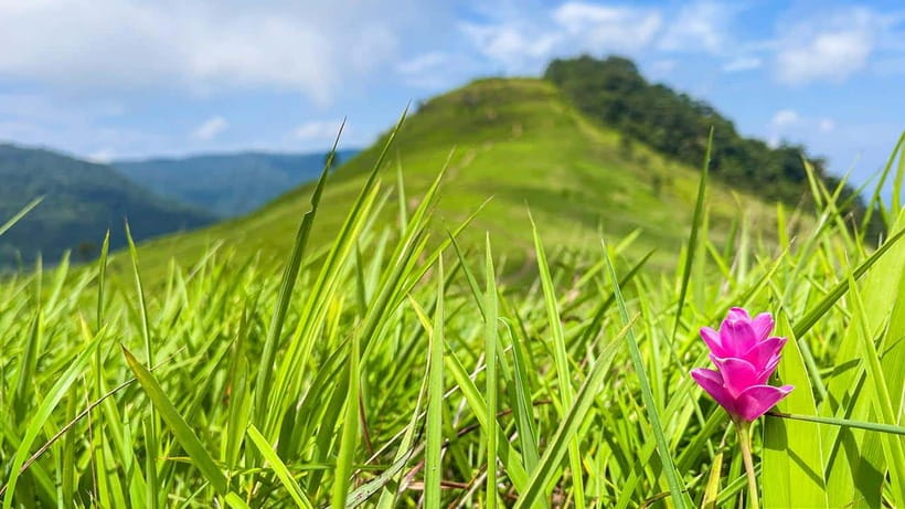 PhnomPenh: 2 Day Trekking & Camping to Mt. Knang Phsar - Practical Tips for Making the Most of Your Trip