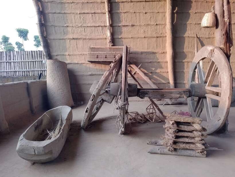 From Kathmandu or Pokhara: 5-Day Chitwan National Park Tour - Day 5: Return to Kathmandu or Pokhara