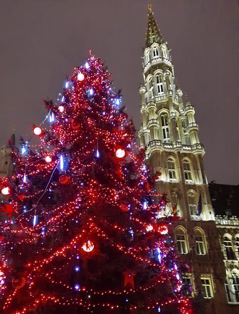 Discover the magic of Christmas in Brussels with a local guide - Is this experience worth the cost?