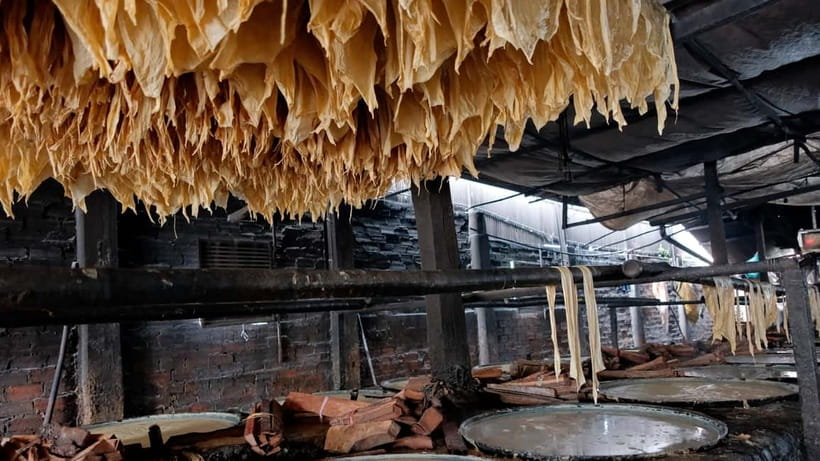 Phnom Penh: 4-Days History & Local Culture Experience - The Practicalities and Value