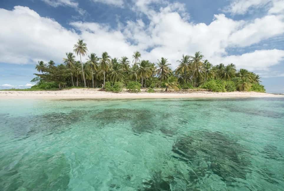 Coron: Reefs and Wrecks Tour with Snorkeling Equipment - What You Need to Know Before Booking