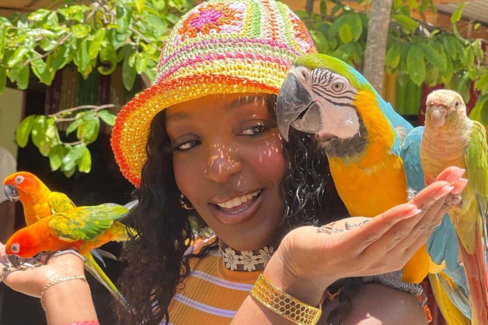 Montego Bay: Marijuana Farm and Bird Sanctuary Tour - A Balanced Look at the Marijuana Farm and Bird Sanctuary Tour