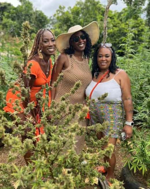 Montego Bay: Marijuana Farm and Bird Sanctuary Tour - FAQ