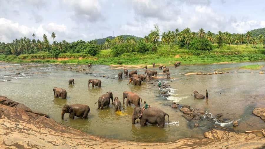 "6-Day Sri Lanka Escape: From Highlands to the Sea" - FAQ