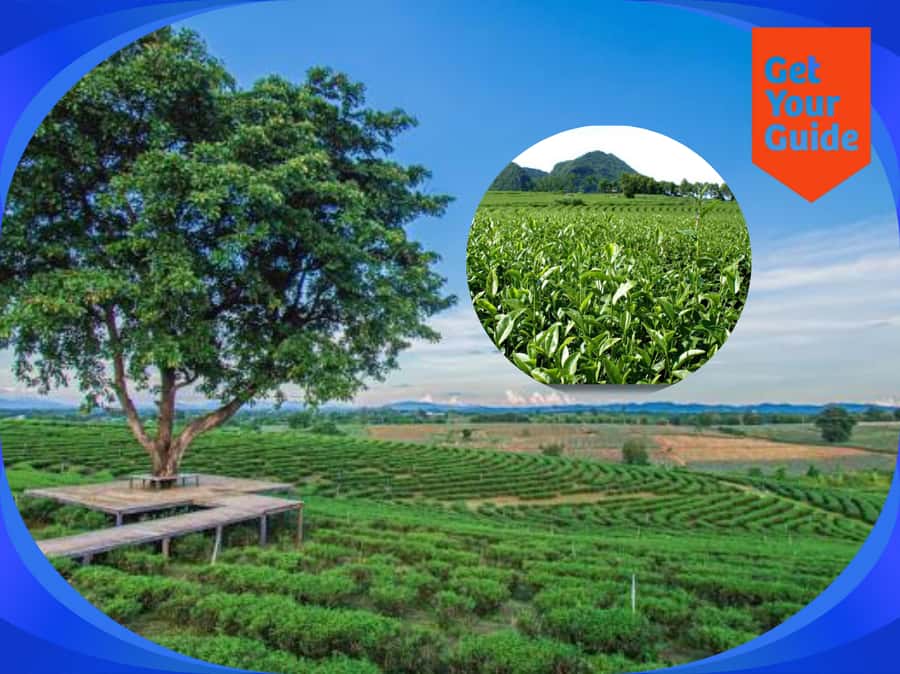 Special Chiang Rai: One Day Tour with Private Driver - Why This Tour Offers Great Value