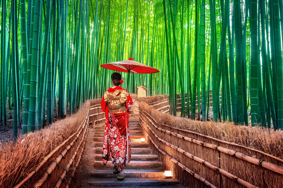 Osaka/Kyoto: Private Kyoto and Nara Day Trip - The Tour Overview: What You Can Expect