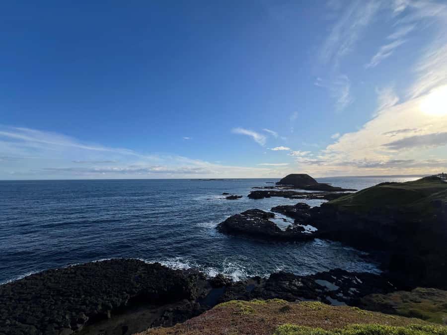 Melbourne: Phillip Island Private Tour, Penguin and Koala - How the Experience Feels and What You’ll Gain