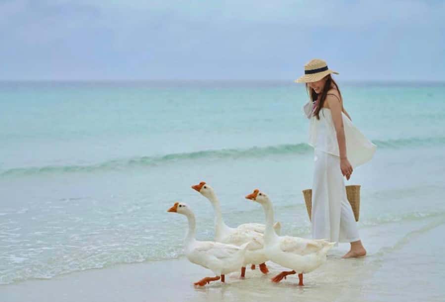 Ko Larn Island VIP Private Day Trip with Water Activities - Who Is This Tour Best For?