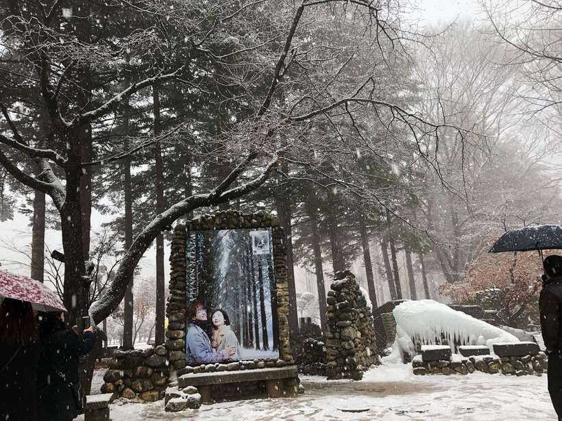 Seoul: Alpaca/Nami/Garden of Morning Calm Tour (+Rail Bike) - Who This Tour Suits Best