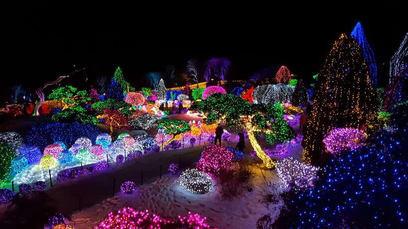 Seoul: Alpaca/Nami/Garden of Morning Calm Tour (+Rail Bike) - Final Thoughts