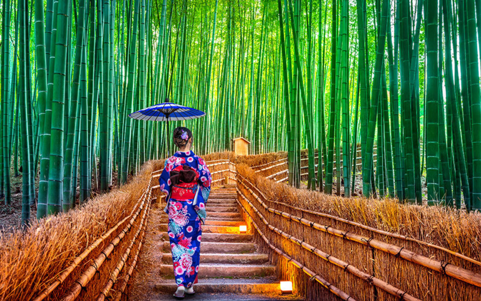 Kyoto/Osaka: Kyoto and Nara Customizable Guided Day Trip - An In-Depth Look at the Tour Experience