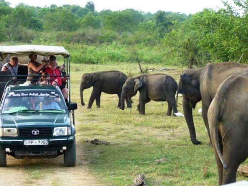 From Ella: Udawalawe & Yala National Parks 2-Day Tour - Who Is This Tour Best For?
