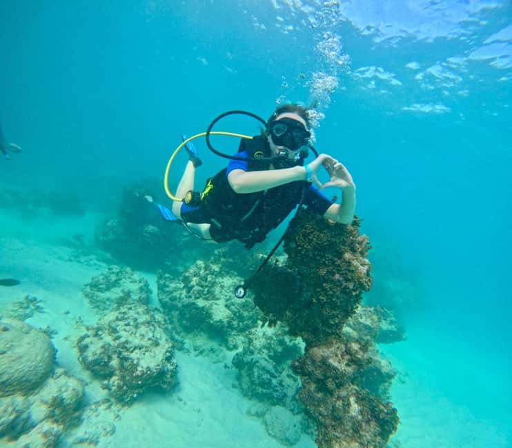 Bávaro: Scuba Diving Experience for Beginners - Why This Tour Offers Excellent Value